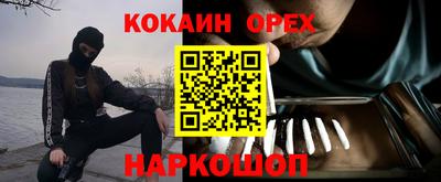 ГАЛЛЮЦИНОГЕННЫЕ ГРИБЫ Свободный