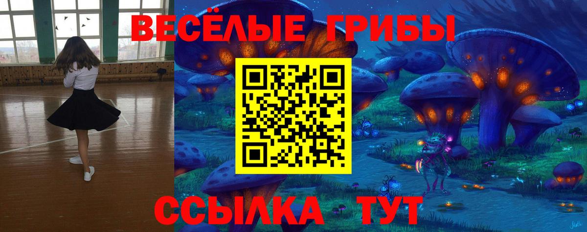 Галлюциногенные грибы прущие грибы  Вход с VPN  где купить   Полысаево 